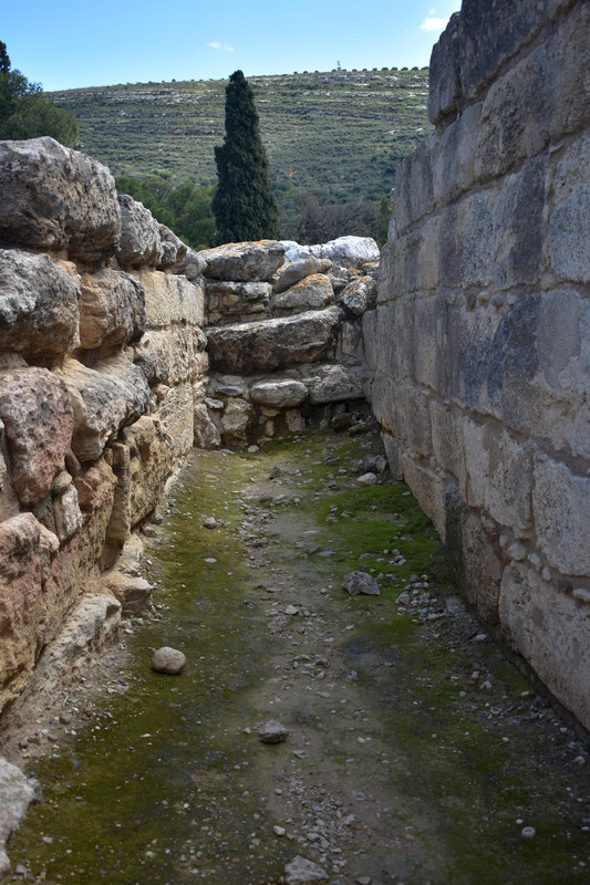 Το ανάκτορο της Κνωσσού (116)