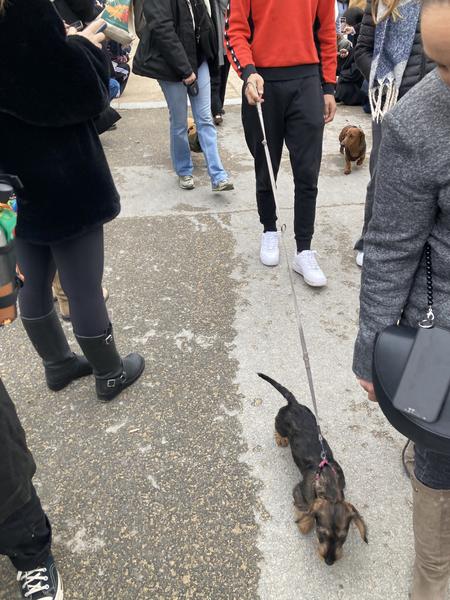 [Image: IMG-5747.jpg]