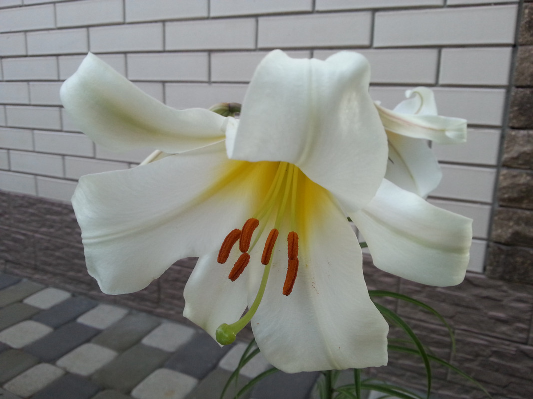 20180620_193001