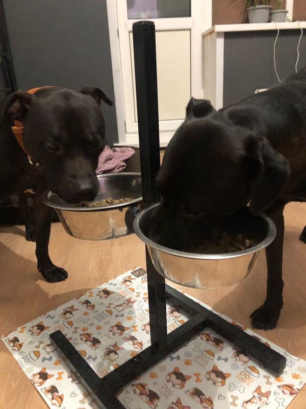 9DC568DE-C2AA-4D22-A22F-5F878B1F8860