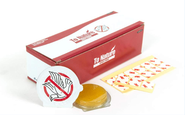Bird gels can be a highly effective solution to keep pigeons away.