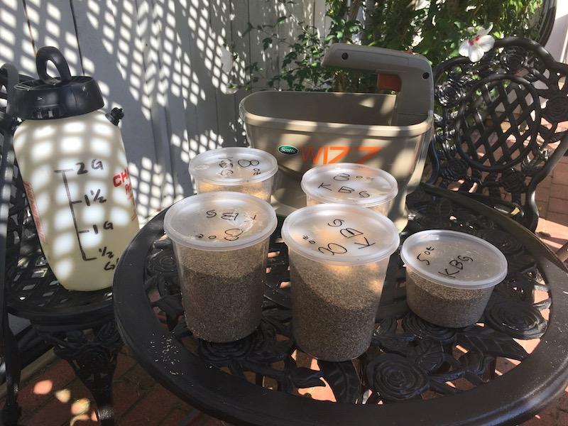 2017_Backyard_Grass_Seed_Whizz_1_small