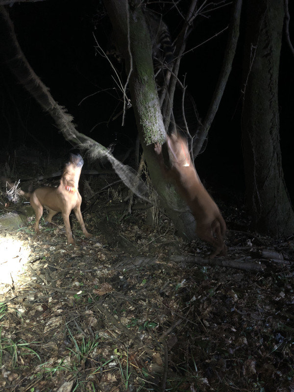 CCC9C1A9-8D39-4E44-BD9D-70637BFDD57C