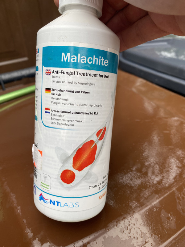 89940A43-0318-487D-A16E-D269B97E2CA6