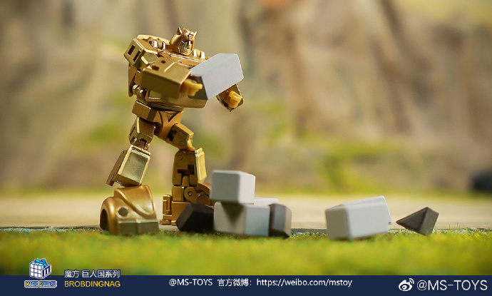 Magic-Square-MS-B21G-Golden-Intelligence-Officer-04