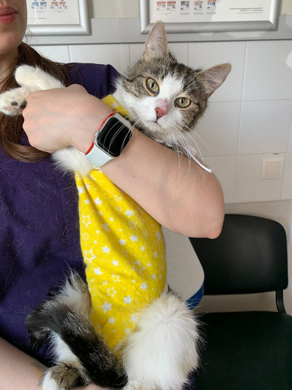 DA32AF47-F3F7-4A1A-862E-6C53AEA3CDEB