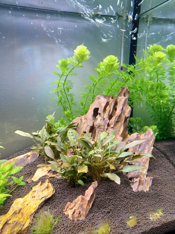 received_460034948963624