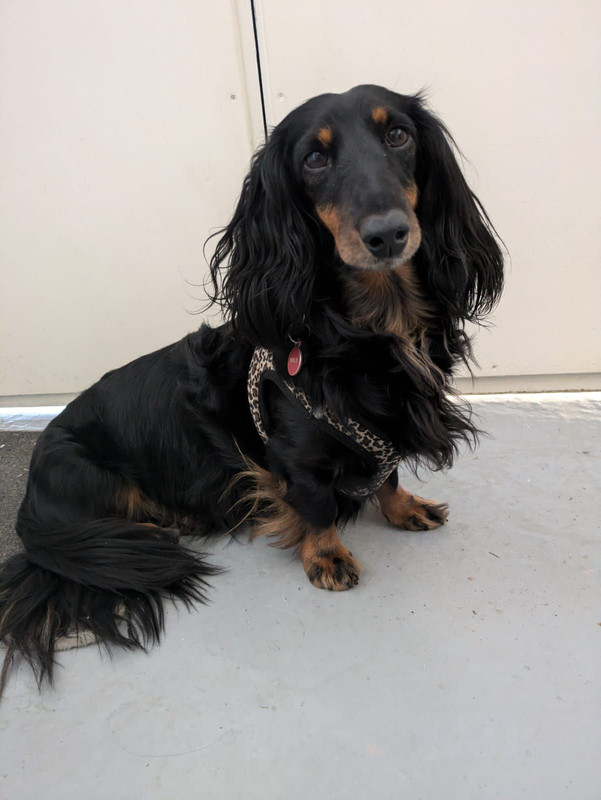 [Image: IMG-20241103-163123.jpg]