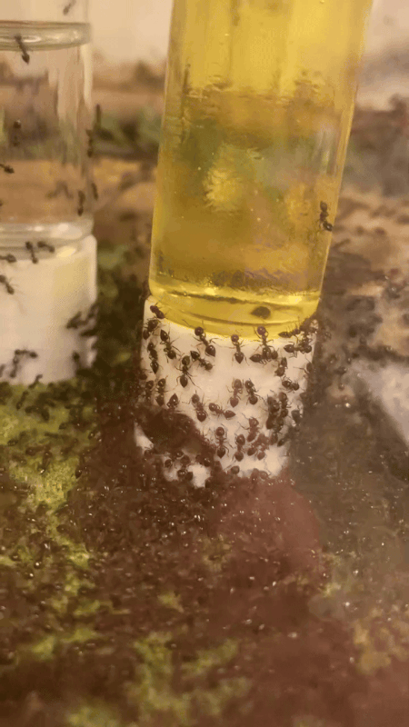 4CEF445F-E6EA-4EBB-93C1-E251EF7C8906