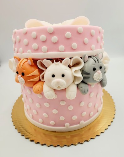 Tort Koci