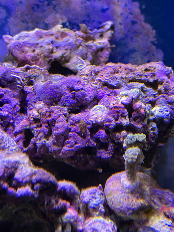 9B75E90C-E6C0-4999-A38D-6DB0E9BD0857