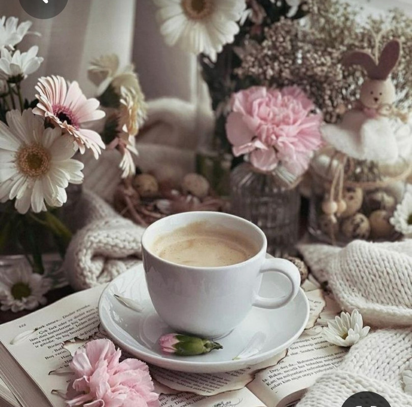 Screenshot_20230408_001729_Pinterest