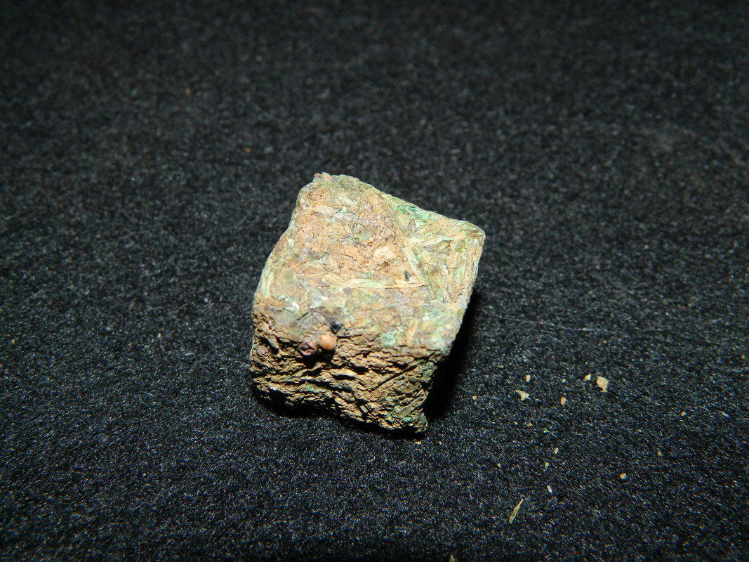 DSCN6079