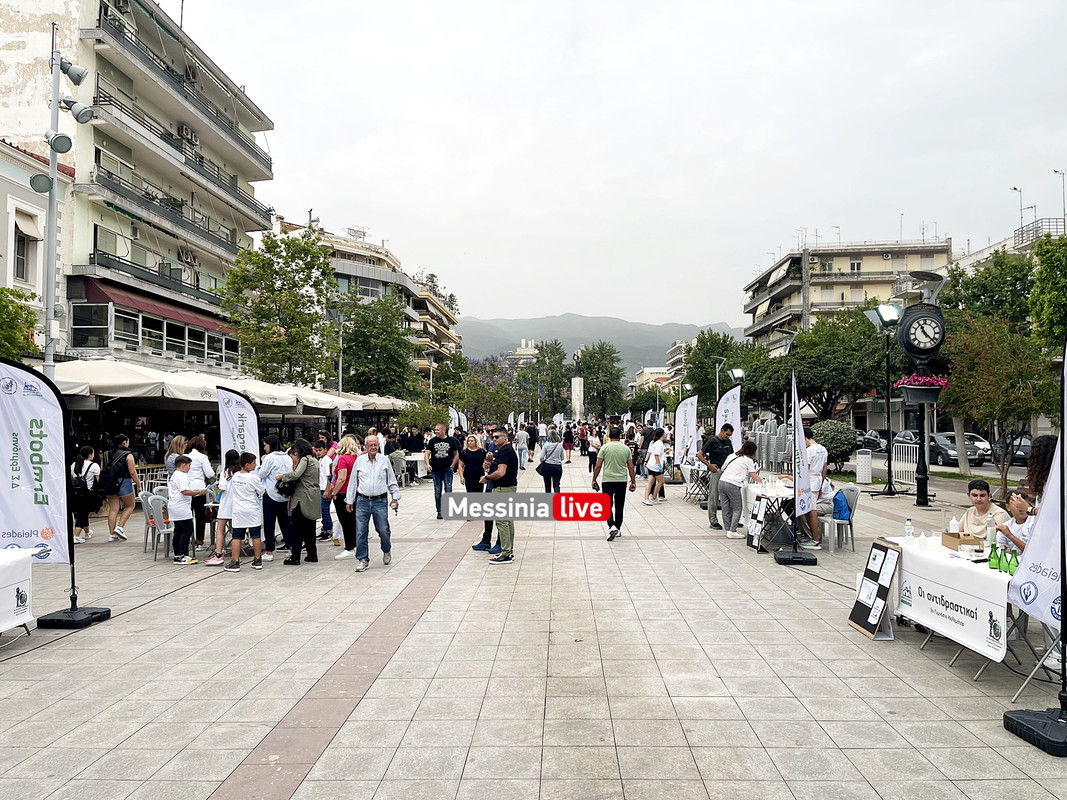 ΡΟΜΠΟΤΙΚΗimage00005