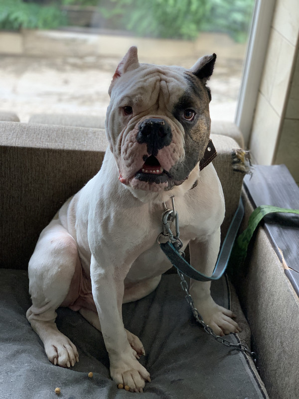 01E8CA67-4E0C-4931-AE89-D66B6DEA3835