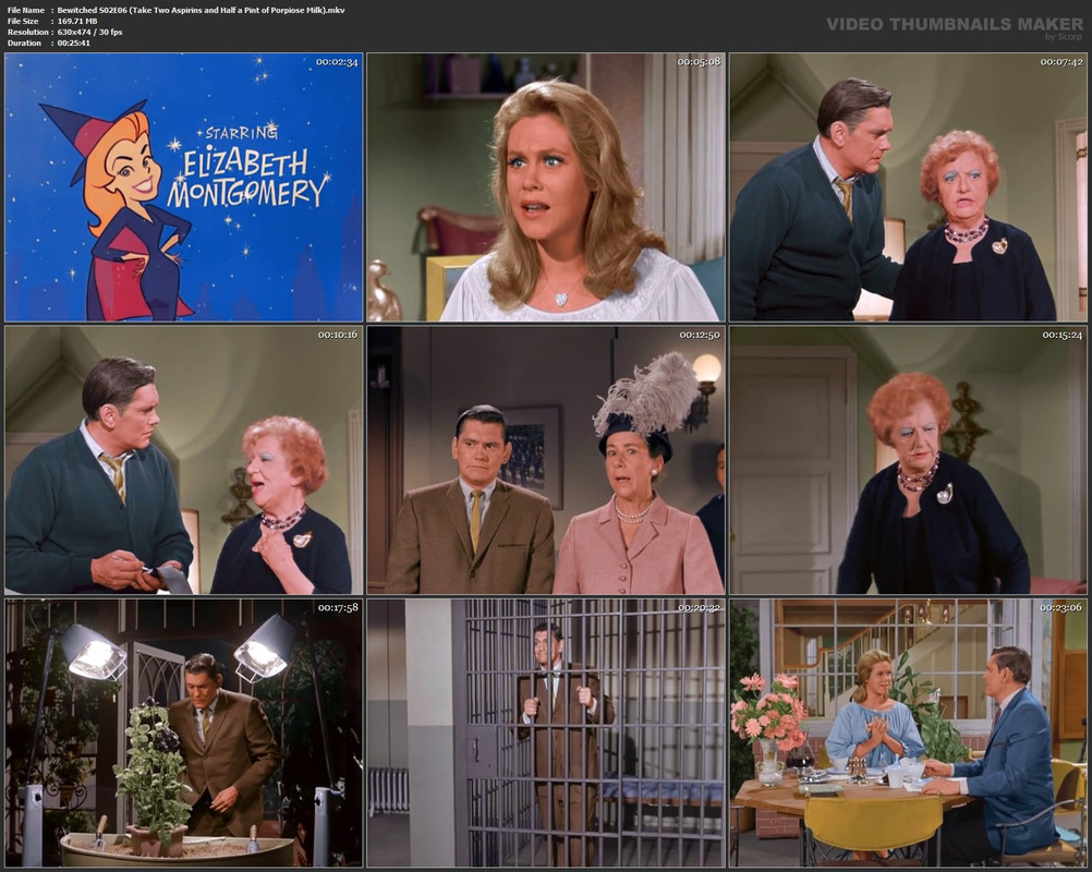 Bewitched S02E06 (Take Two Aspirins and Half a Pint of Porpiose Milk).mkv