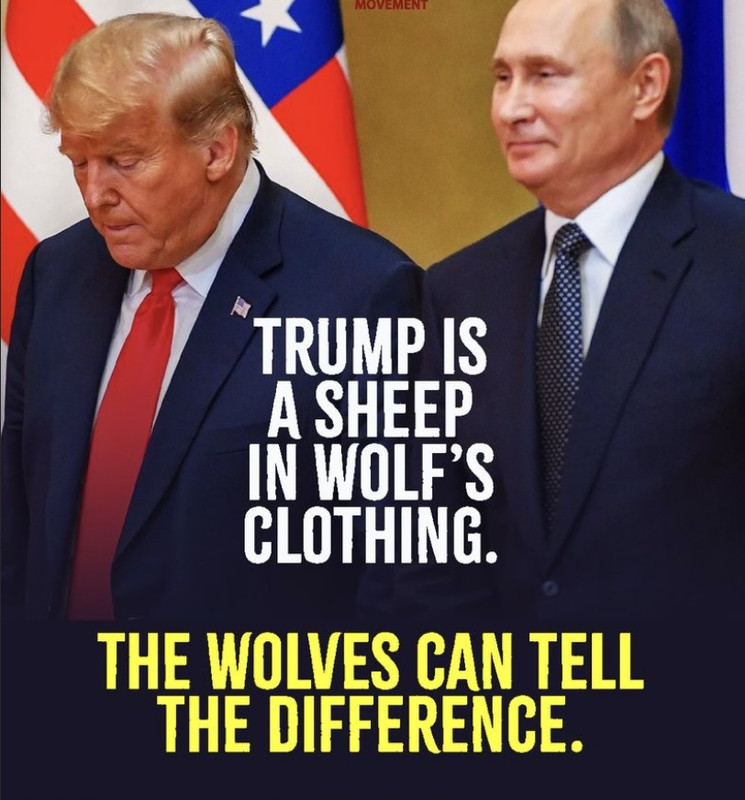 wolves