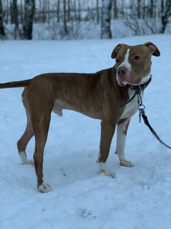 64CCAF84-884E-4F5B-A769-75BD34399C02