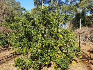 Xie Shan post 20F freeze 01212018