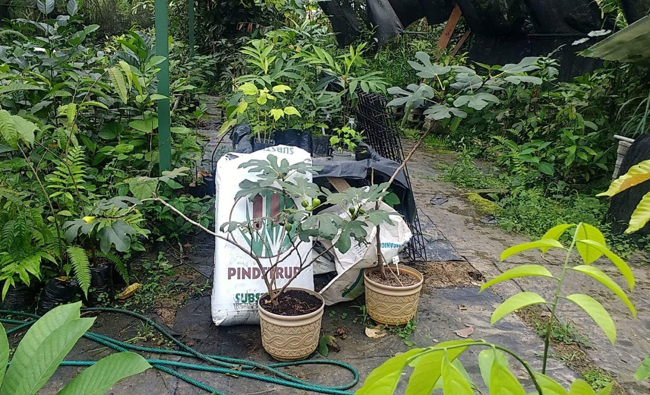 FE05B4F2-FF1C-43DE-9A8C-697A5C906221