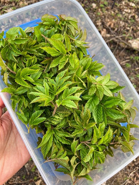 0-A9-F7-FE8-5-F1-A-41-EB-BCE3-31-AE7-CAB