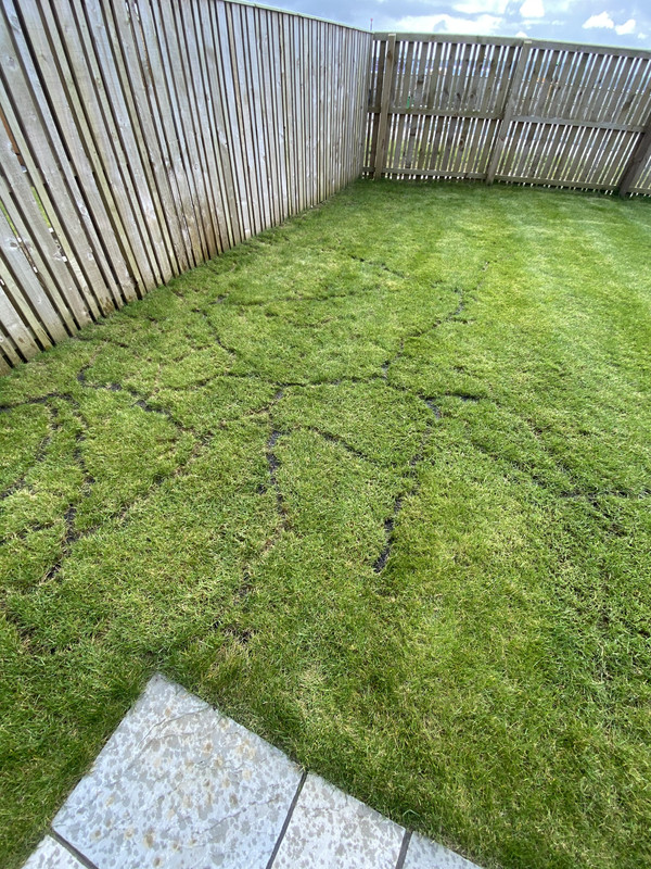 9557F6D2-5060-4304-9B68-DB60814B32C6