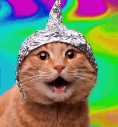 IMG-0938.gif