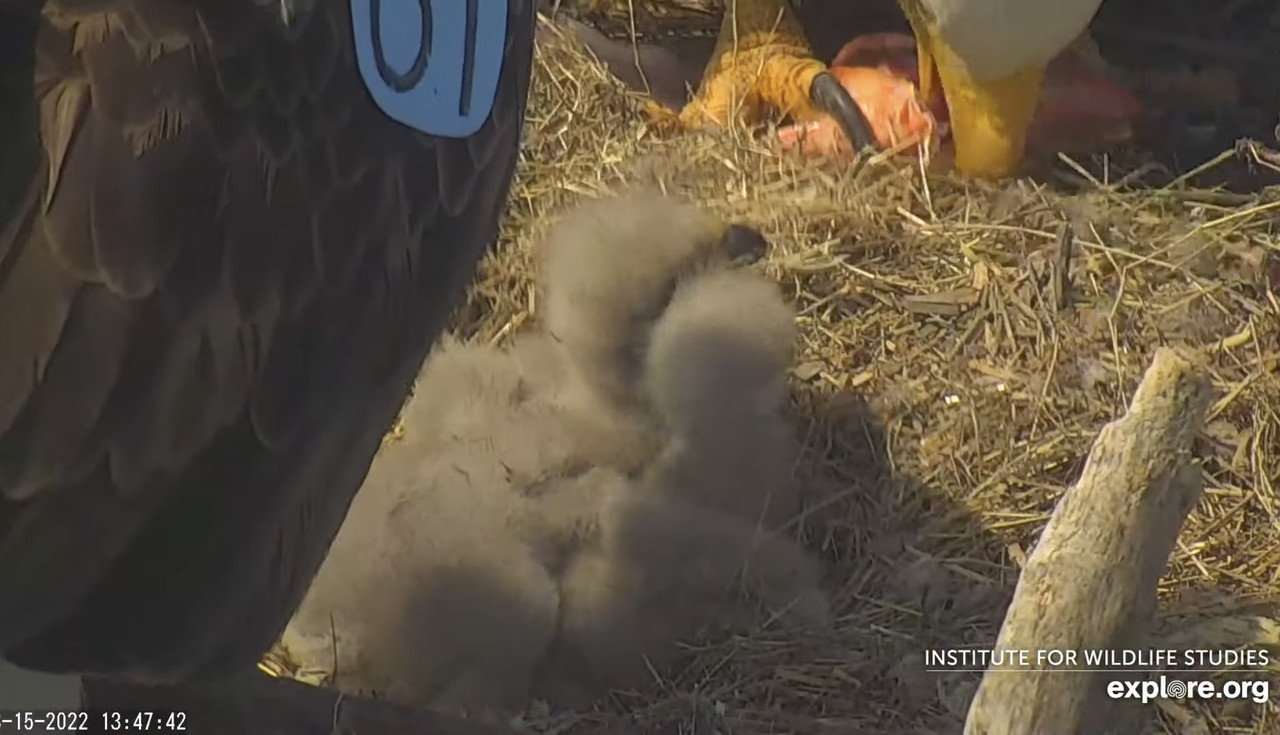 7632438C-84DB-4BEC-9E23-496741805732