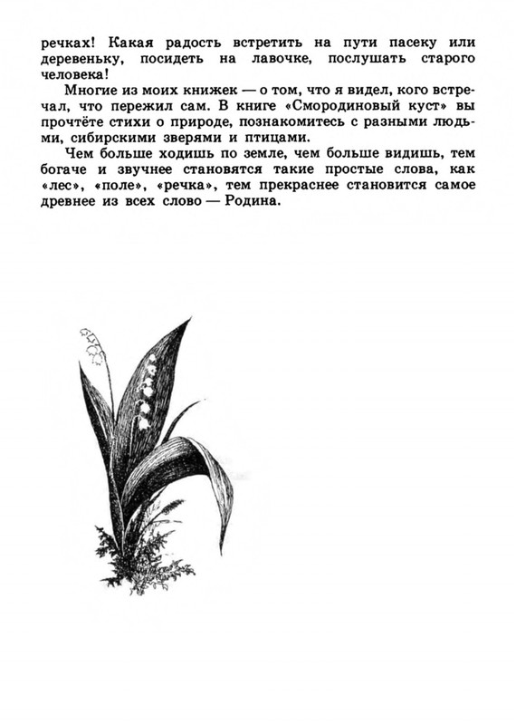Belozerov-Timofej-Smorodinovyj-kust-1977-page-0007