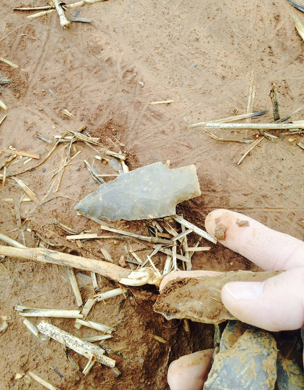 7B956C5A-DA69-47CE-8E3E-89E7AFD76708