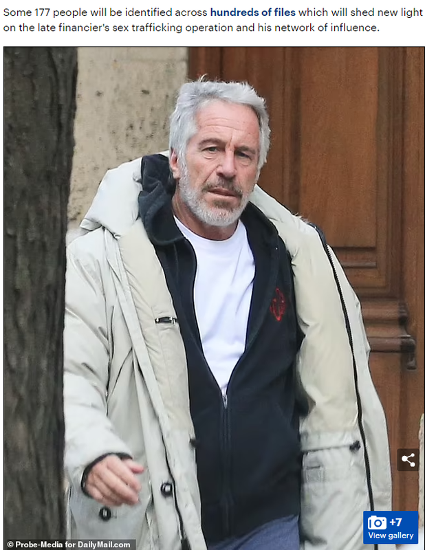 https://i.postimg.cc/GtBzs023/epstein.png