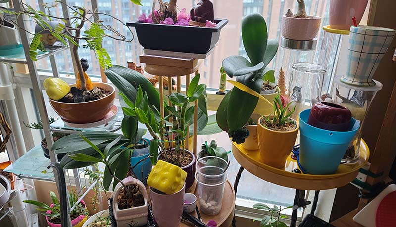 [Image: 20231125-101118.jpg]