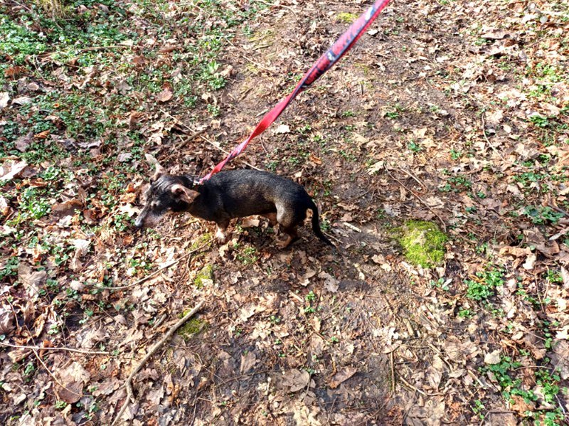 [Image: IMG-20240215-185703.jpg]