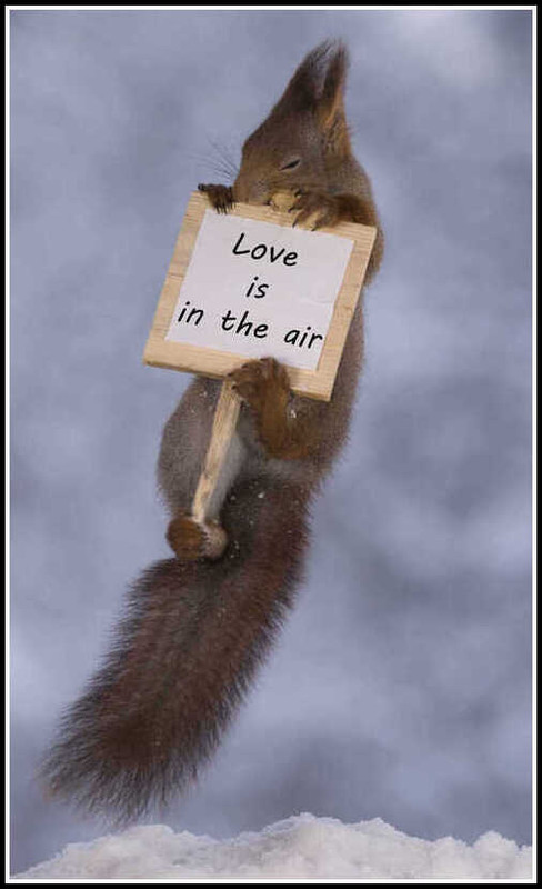 157953353793732282 (38)