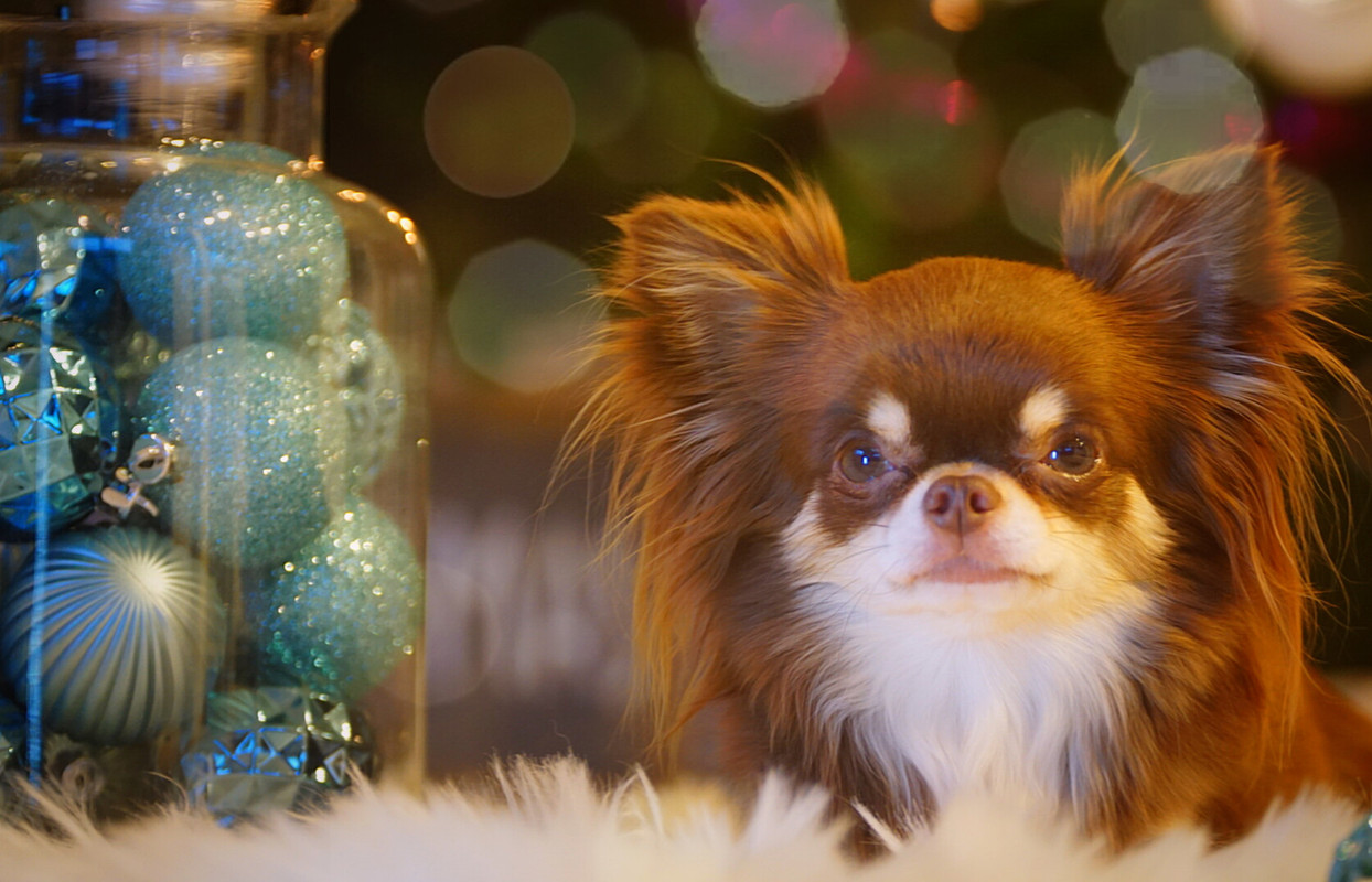 Lumii_20201130_163216712