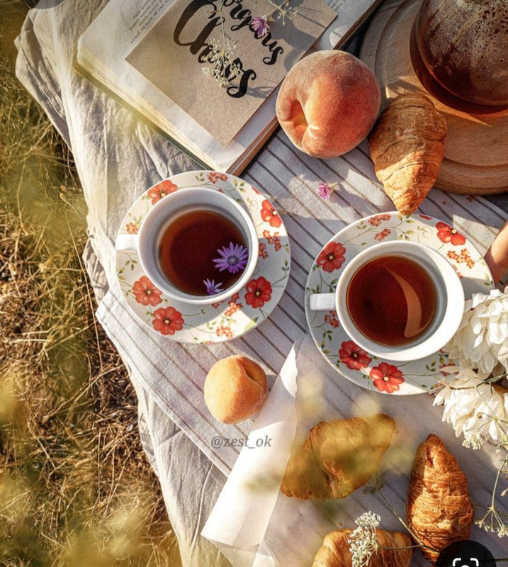 Screenshot_20240604_155654_Pinterest