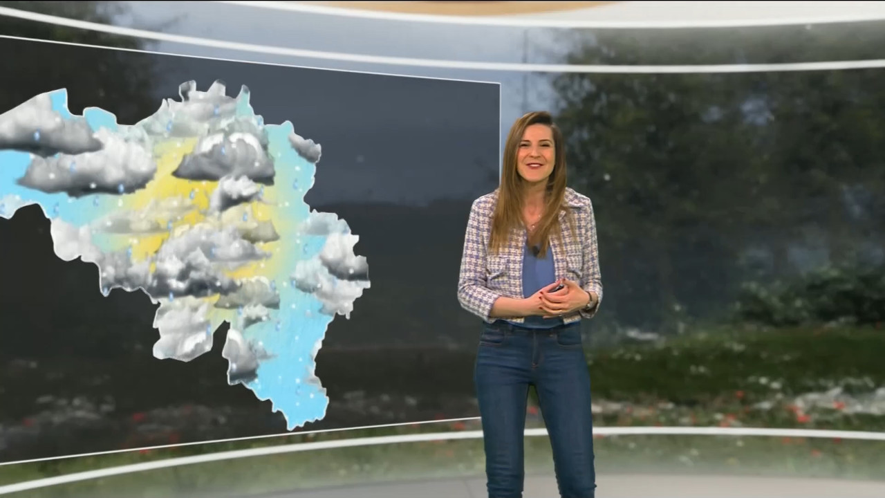 03.13 - 11.45.00 - Contacts. Verkeerstips.ts_snapshot_14.29.407