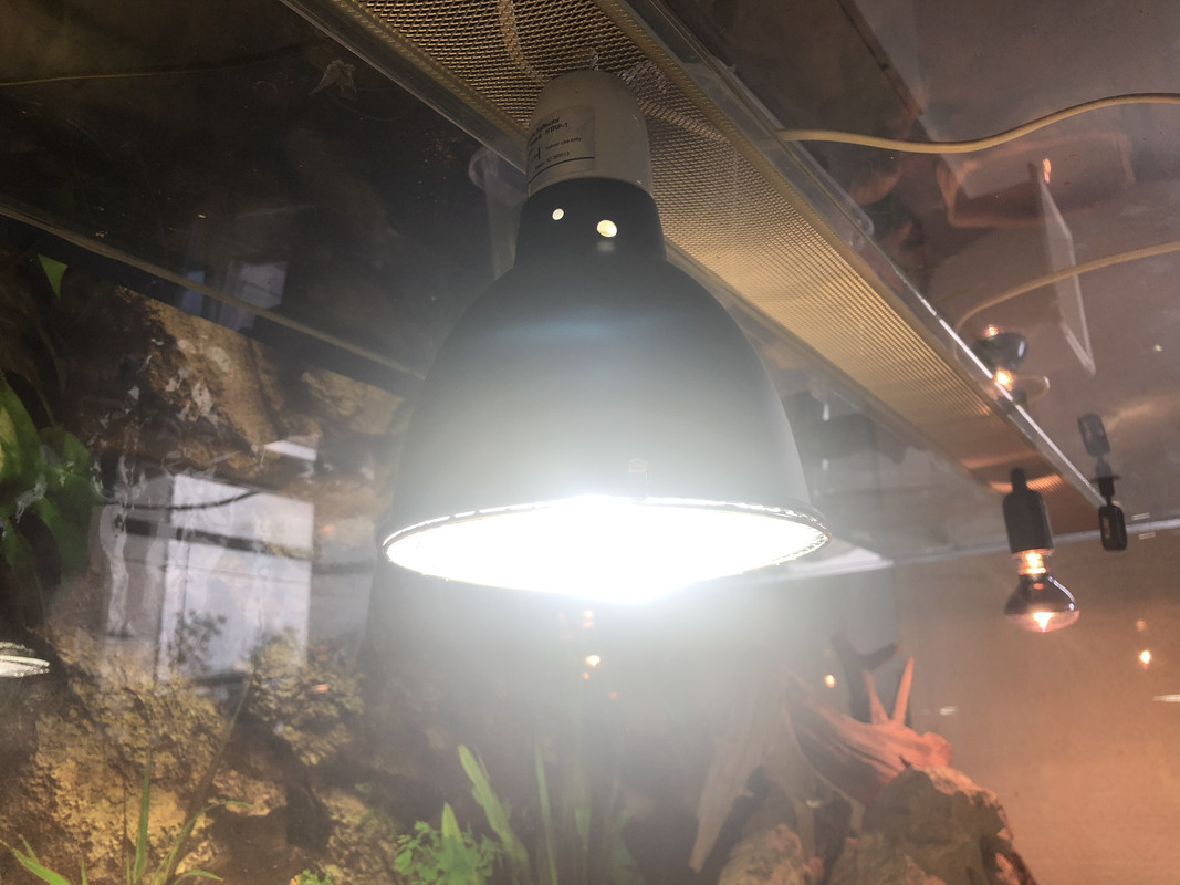 9C4944EA-A4A2-4D6B-9A50-381EBD39257E