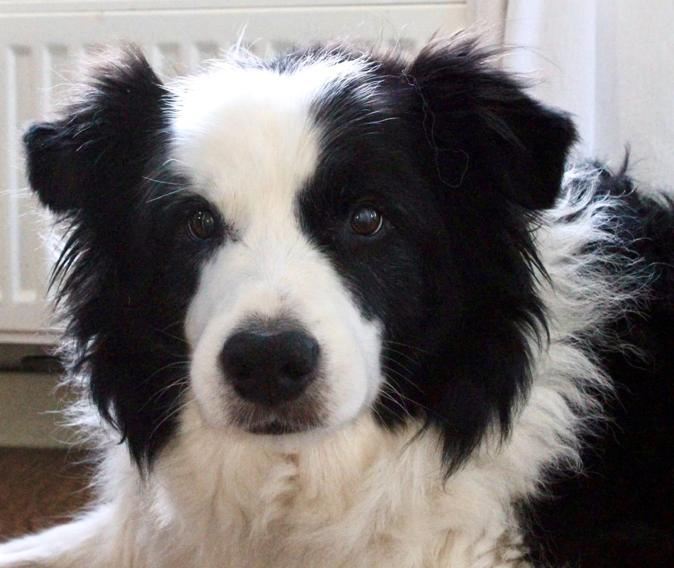 8AD14C61-7A79-4457-B8D4-7C0DDE4106F1