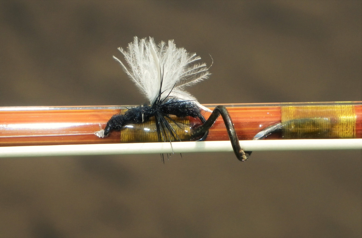 Little Ant That Could