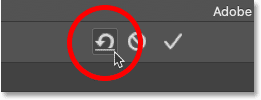 crop-tool-reset-button