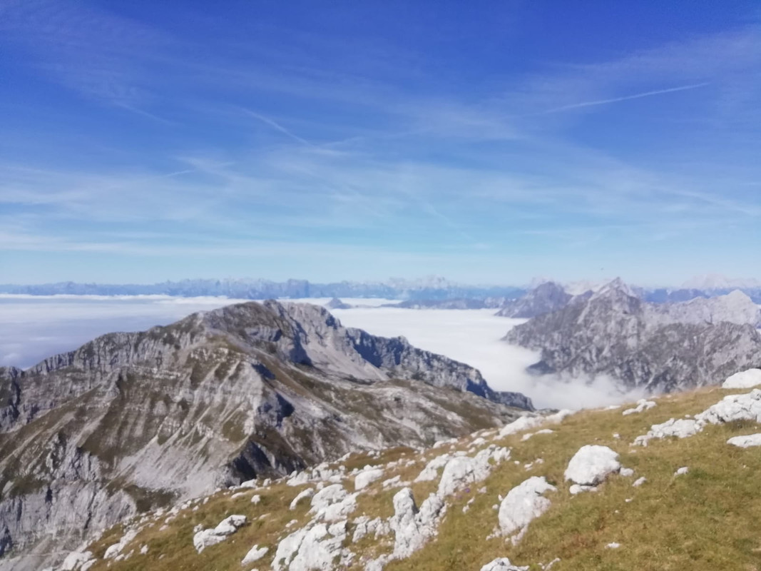 46ACFE96-914E-45C2-BF85-22EF98AF82F6