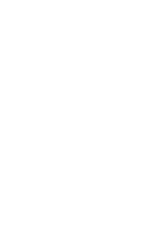 Christmasswishoffairydnspakles