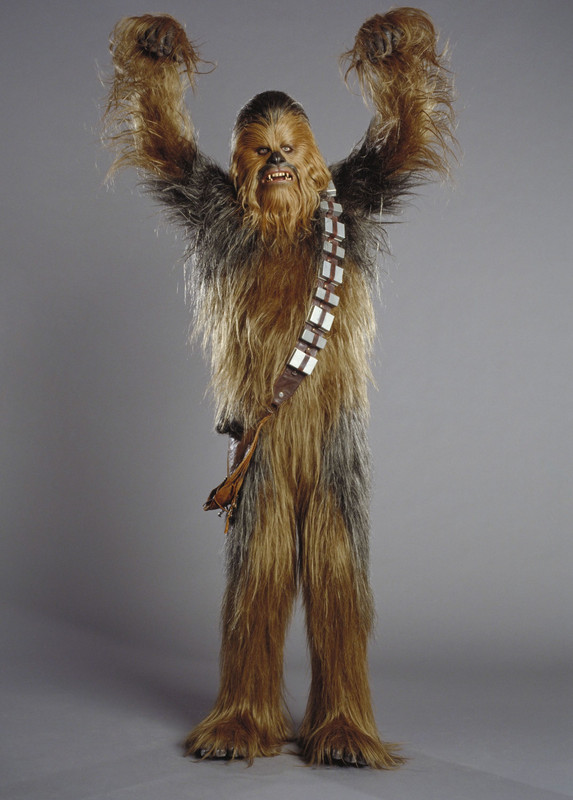 hqchewie(1)