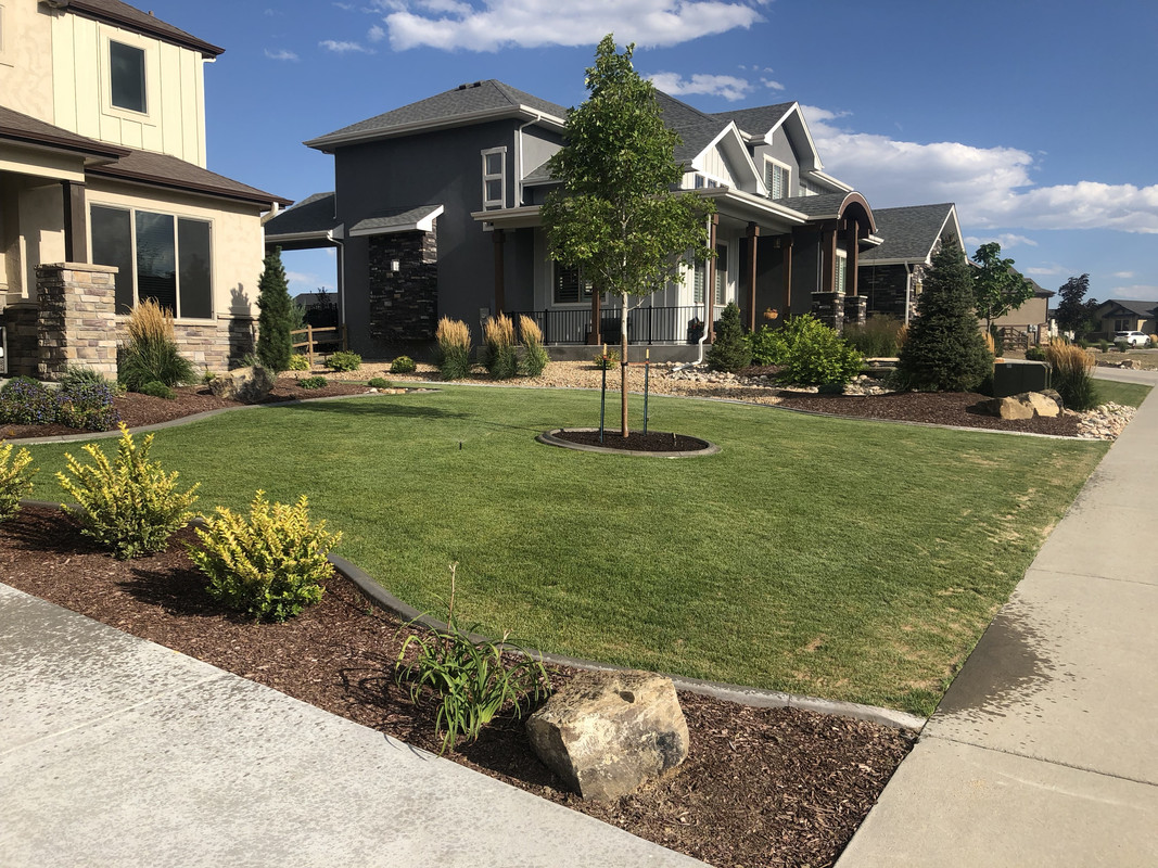 26C2B113-B138-445F-8A74-52B1DCA4666D