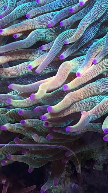 37F416D4-591C-461A-8551-6E98BB7FB9D6