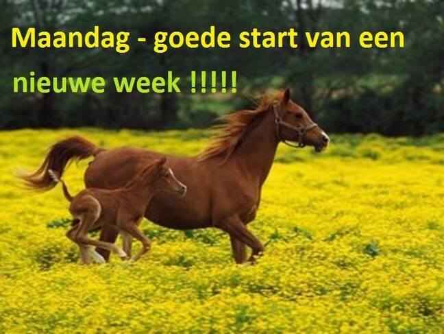 An den Beitrag angehängtes Bild: https://i.postimg.cc/GtDYxC2Z/oie-28552YJY32IG2.jpg