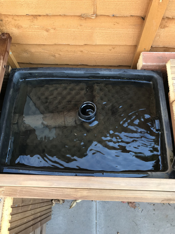 E2ADC158-C0A0-4875-BA58-4D6439B76F62