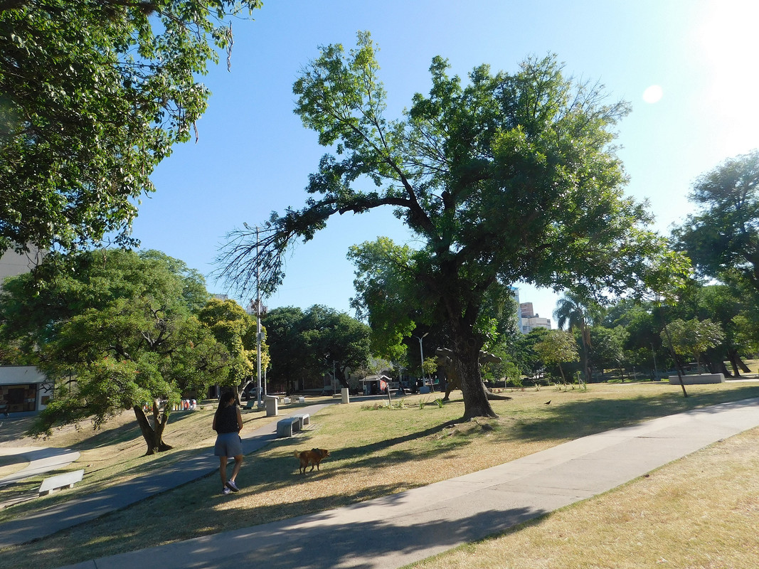 DSCN0534.jpg