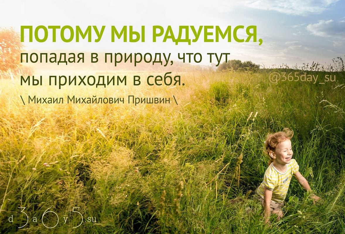 Попадая в природу мы приходим в себя